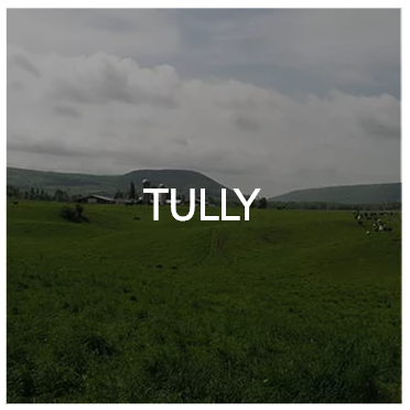 tully